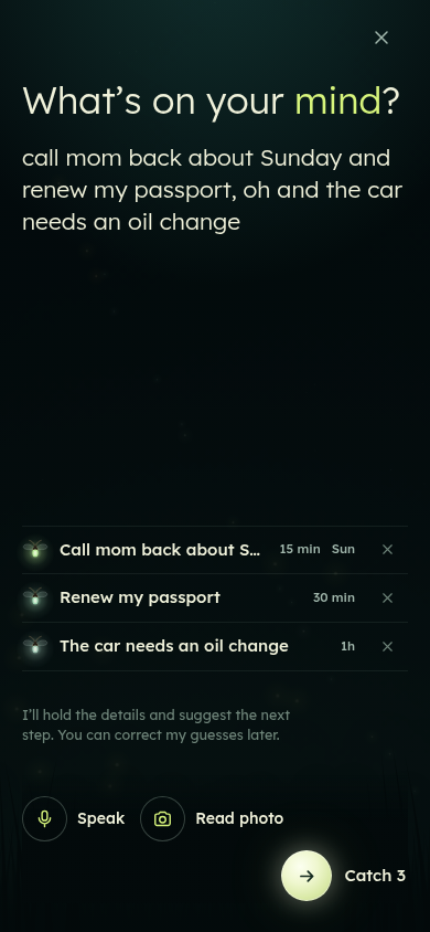 The Catch screen separates a rambling sentence into calling Mom, renewing a passport and arranging an oil change, with editable time guesses and a Catch 3 button.